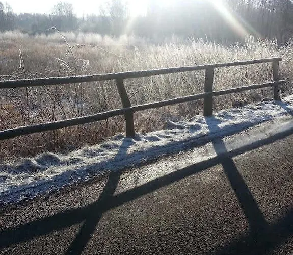 Otel Auehof & Restaurant 3*